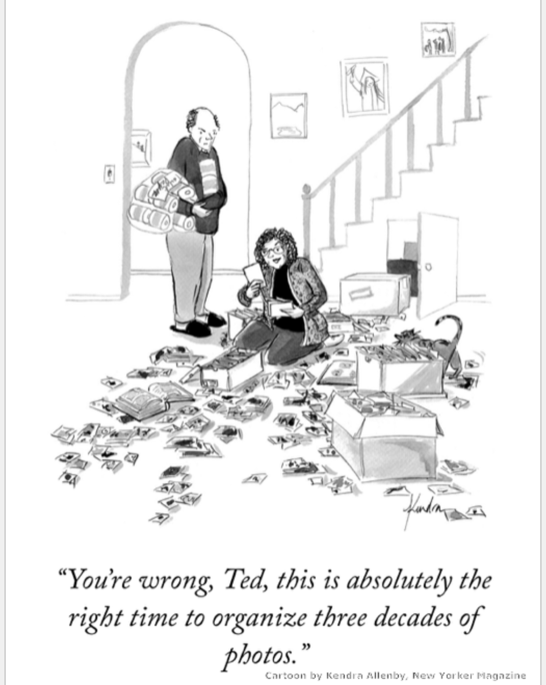 New Yorker cartoon